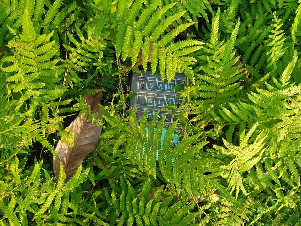 Sách Sau Giờ Học trên kệ sách