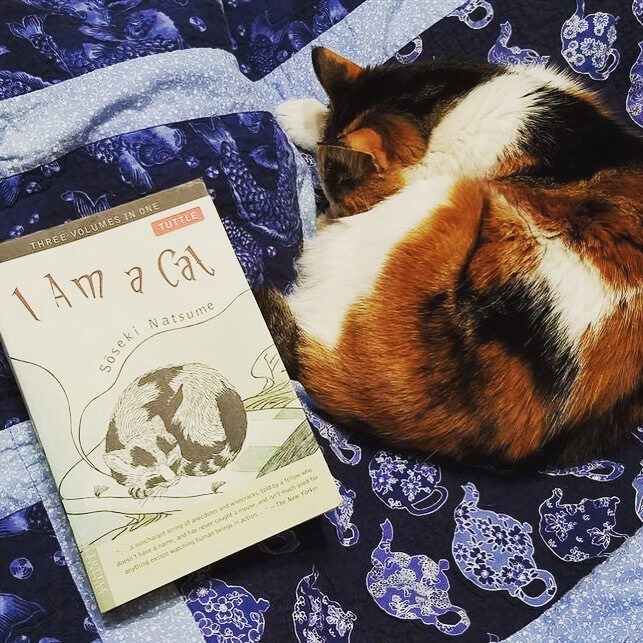 Hình ảnh minh họa trong sách Tôi là con mèo, chú mèo đang quan sát mọi người