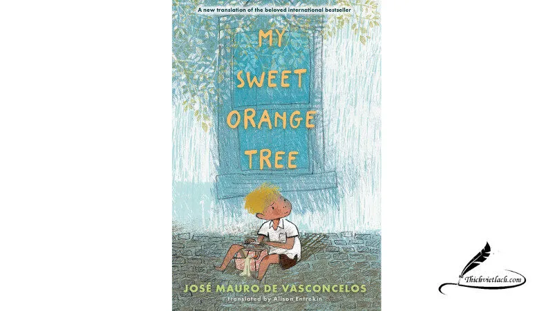 Review My Sweet Orange Tree – José Mauro de Vasconcelos